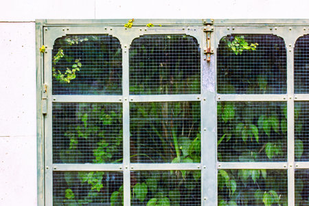An aged metal gate with a mesh design encloses a lush green garden, creating an intriguing contrast...
