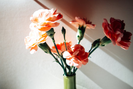 Delicate carnations in full bloom, arranged in a simple green vase, bathed in soft, natural light, casting interesting shadows. Floral arrangement.の写真素材