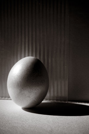 A monochrome image features a single egg with dramatic lighting, highlighting its texture and shadow. The minimalist scene, clean aestheticの写真素材