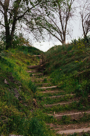 Stone steps ascend a grassy hillside, surrounded by lush greenery and hints of early spring. Natural...