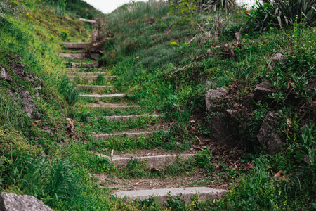 Stone steps ascend a grassy hillside, surrounded by lush greenery and hints of early spring. Natural...