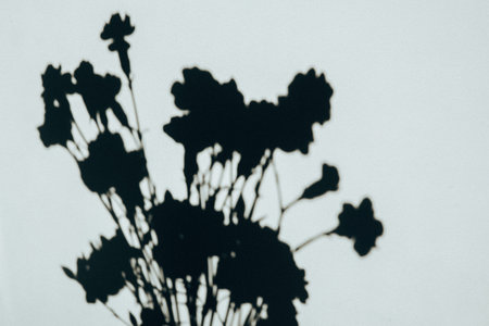 A silhouetted floral bunch arrangement displays a delicate dance of light and shadow on a light...