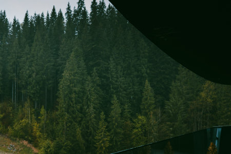 A view of a lush green forest with tall trees against a cloudy sky in the mountains. A picturesque...
