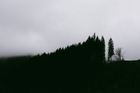A moody landscape silhouette of trees and mountain ridges under a cloudy, overcast sky during the...