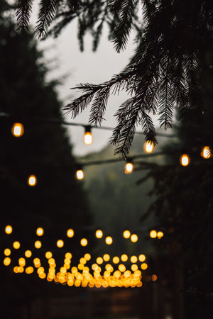 Warm string lights glow invitingly against bokeh background of a dark, evergreen forest. A moody,...