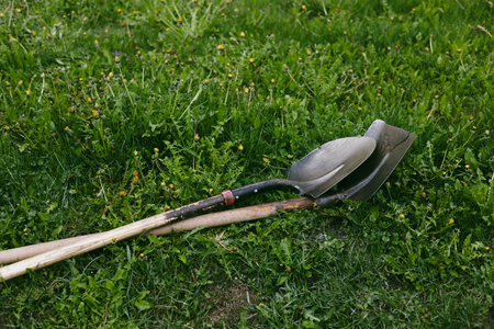 Two weathered shovels are laying down on a fresh green grass, ready to work. Gardening works or yard work, a picture of outdoor tools. Spring lawn.の写真素材