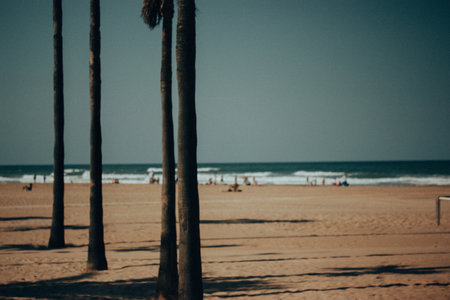 Palm trees against blue sky create a sense of tranquility inviting relaxation and peacefulness, with a touch of a tropical vibe. Sunshine on a Beach Dayの写真素材
