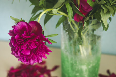 A lovely vase of deep pink peonies surrounded by fallen petals on a light wooden table. A vibrant bouquet of spring flowers, petals scattered on the table, creating a beautiful scene. Full bloom.の写真素材