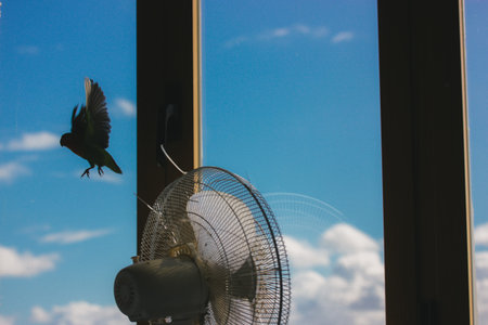 A green bird takes flight in front of a running electric fan on a sunny day with the sky. A vibrant...