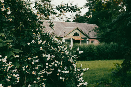 A serene scene of a house partially hidden by blooming flowers and lush greenery. A charming old...