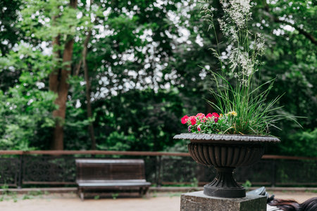 A vibrant flower pot blooms in a park, adding beauty to the natural surroundings with a bench in the background. A decorative flower pot brimming with red, green and white plants sits in a park.の写真素材