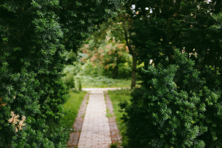A brick path means through a verdant landscape, inviting exploration and peace. A brick pathway leads through lush green foliage towards a bright, verdant distance, creating a sense of depth.の写真素材