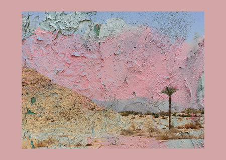 Cracked pink paint meets a desert landscape, blending abstract textures with a serene scene. An artistic landscape merging textures of cracked paint with a palm tree. Faded beauty of a nature.の写真素材