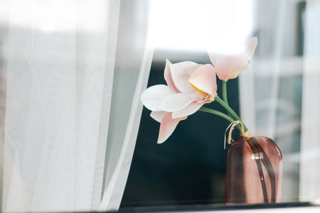 A beautiful orchid in a glass small vase on a window with soft curtains. Delicate orchids bouquet, set against a window with sheer curtains, evoking a serene and elegant ambiance. Home decor.の写真素材