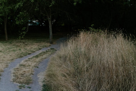 A path winds through a green landscape, inviting exploration in nature. A serene landscape featuring...