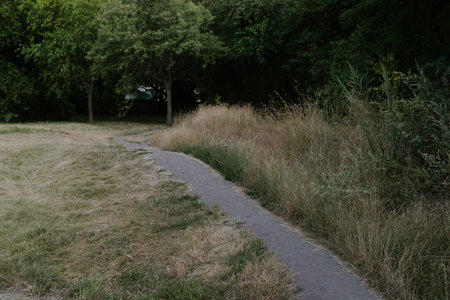 A path winds through a green landscape, inviting exploration in nature. A serene landscape featuring...