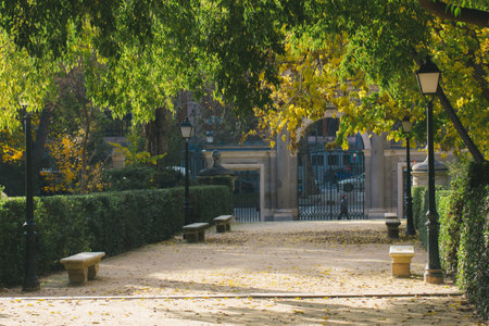 Madrid, Spain 1 October 2024 Autumn park scene featuring benches, pathways, and beautiful foliage. A scenic view of a park with benches, lamps, and greenery, bathed in the warm sunlight of autumn day.の写真素材