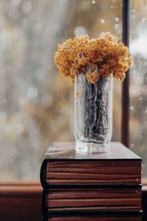 Beautiful arrangement of immortelle yellow flowers in a glass vase, set by a window on a rainy day. A stunning view of floral bouquet against a rainy window. The droplets add an atmospheric aesthetic.の写真素材