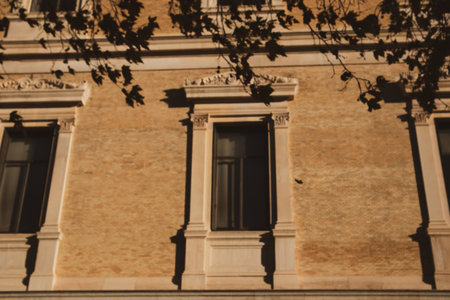 Sunlit architectural facade featuring detailed windows and decorative ornamentation under tree...