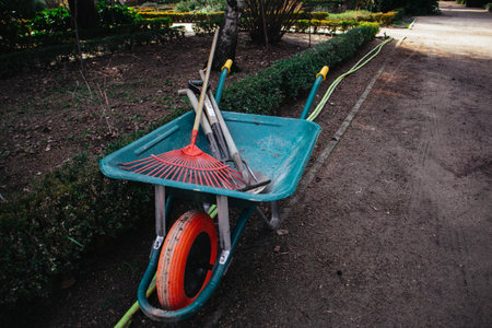 A wheelbarrow holds garden tools near a hedge in a park setting on a sunny day. A teal wheelbarrow filled with garden tools sits on a dirt path next to a hedge. A yellow hose is nearby.の写真素材