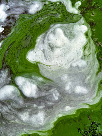 Intricate patterns of green algae and white foam create a beautiful natural abstract. An aerial view of vibrant green algae and white foam swirling together in a mesmerizing natural pattern.の写真素材