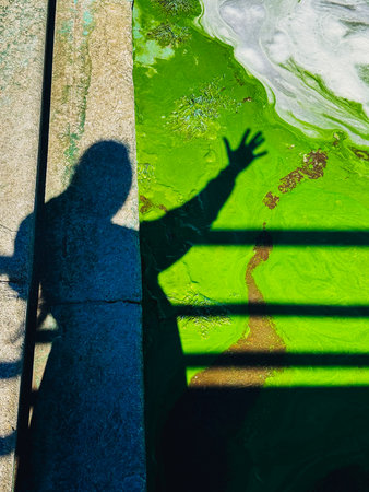 The shadow of a reaching hand contrasts with a green algae bloom. A striking silhouette of a person's hand and arm is cast across a vibrant green algae bloom, a contrast of light and shadow. Ecology.の写真素材