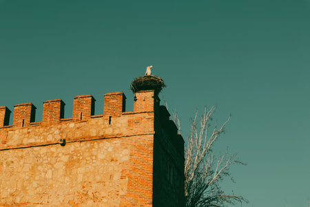 A stork rests in its nest atop a vintage brick building under a serene teal sky. A stork and nest sit atop an old brick building against a teal sky. The architecture features stone and brick details.の写真素材