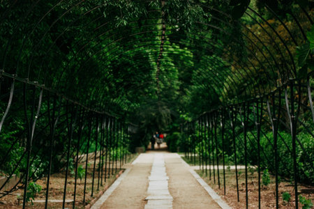 A garden path leads under an arched tunnel, inviting exploration. A garden path is framed by an...