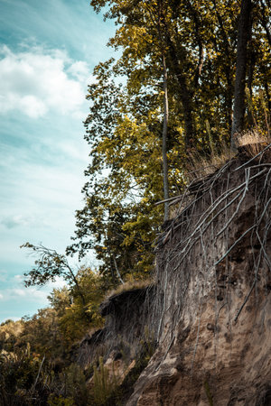 Dramatic cliffside scene showing exposed roots, lush trees, and a blue sky. The photograph depicts a picturesque scene of a cliffside with trees and visible roots, set against a cloudy sky.の写真素材