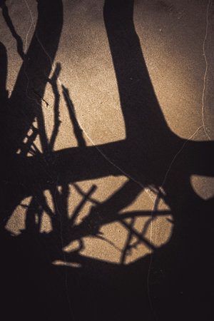 Shadows of branches and plants create an abstract textured design with a sepia tone. Abstract image featuring a play of shadows from plants on a textured surface with a sepia tone. Vertical shot.の写真素材
