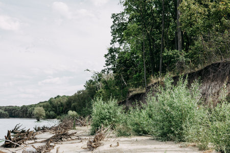 Scenic riverside view with lush green trees and a sandy shore under a cloudy sky. A tranquil riverside scene showcasing greenery. The summer landscape features a sandy shore with trees and foliage.の写真素材