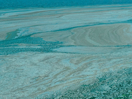 Abstract water surface with floating blue and green algae and pollution textures. Trendy eco-concept for climate change, environmental awareness, and natural backgrounds in contemporary design.の写真素材