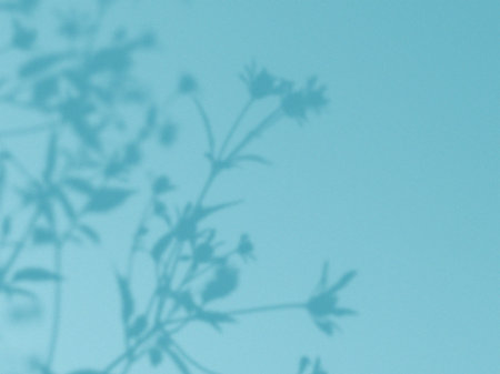 Soft floral shadows on a teal background. A beautiful display of flowers shadows is cast on a teal...