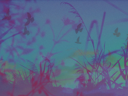 Silhouette of tall grass against a gradient sky. A tranquil dreamy scene features silhouettes of grass against a gradient background of purple, teal hues. The textured aesthetic adds visual interest.の写真素材