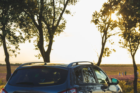 A gray car parked by trees at sunset overlooking a field. An automobile is parked near trees with the sun shining through the branches, overlooking a summer meadow. People can be seen in the distance.の写真素材