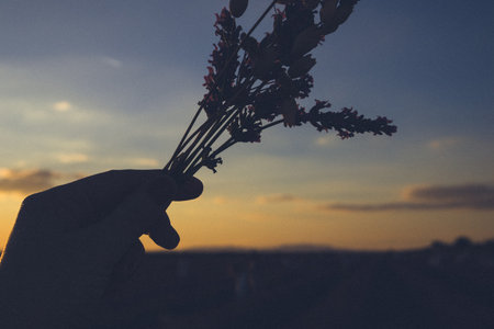 Hand holding wildflowers at sunset. A silhouette of a hand holding a bouquet of wildflowers against a beautiful sunset, evoking a sense of tranquility and natural beauty. Moody natural floral backdropの写真素材