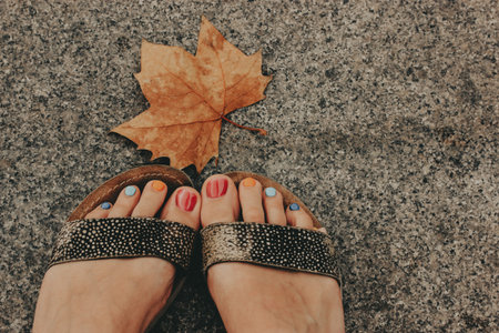 Autumn Women's Feet and Leaf. A person's feet in sandals with colorful painted toenails are next to...