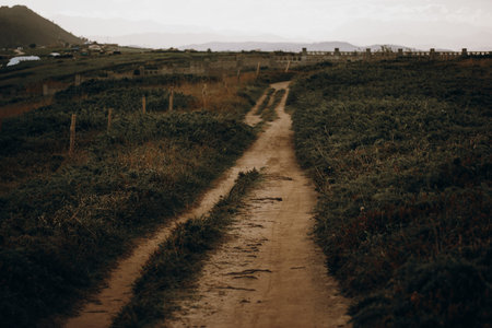 Dirt path through a field with a mountain in the background. A scenic view of the empty dirt path...