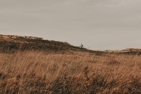Cyclist on a mountain bike rides across a grassy hill on a cloudy day. A lone cyclist is seen riding...