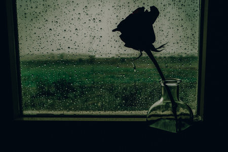 Silhouette of a single rose in a vase against a rainy window. A dark and moody image features a rose silhouette in a vase, set against a window with raindrops, creating a melancholic atmosphere.の写真素材
