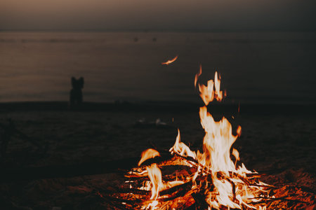 Campfire on the beach at dusk with a dog silhouette in the distance. A warm campfire burns brightly...
