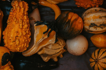 Colorful ornamental gourds and pumpkins in rustic autumn setting. Seasonal harvest background with vibrant texturesThanksgiving, Halloween, fall decorations, organic farming, and cozy lifestyle themesの写真素材