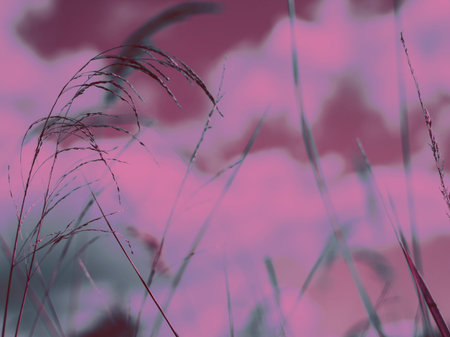 Abstract image of tall grass against a pink and purple sky. The delicate blades of grass sway gently...