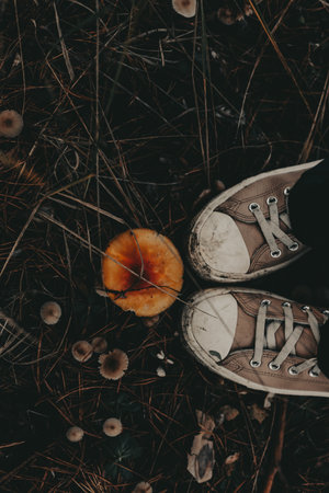 Sneakers and a vibrant orange mushroom in a forest setting. A pair of well-worn sneakers stand above a colorful mushroom surrounded by other small fungi and pine needles. Top view. Moody nature scene.の写真素材