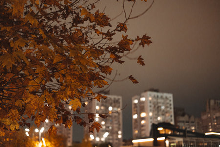 Golden brown autumn leaves at night with city lights in soft bokeh. Warm fall tones, urban atmosphere, cozy mood, seasonal transition, nature meets city, modern lifestyle, cinematic fall aesthetic.の写真素材