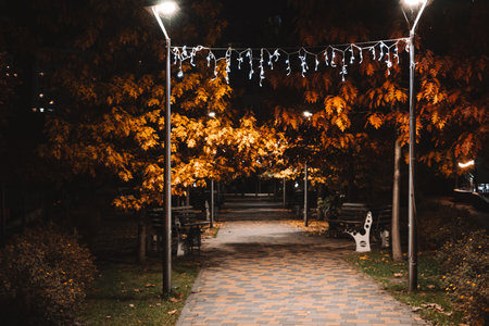 Autumn park path at night with illuminated oak trees and city lights. The golden leaves of the trees are lit up at night, creating a beautiful and serene atmosphere in the park. Night street lighting.の写真素材