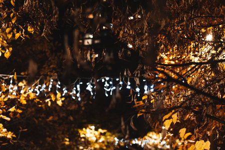 Nighttime view of illuminated string lights through autumn foliage. The warm glow of the lights contrasts with the cool tones of the night and the changing leaves.の写真素材