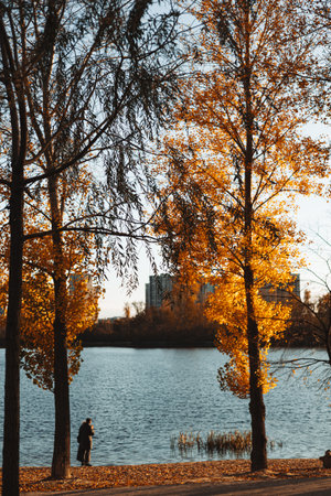 Kyiv, Ukraine 26 October 2025 Autumn landscape with trees, lake, and a person enjoying the scenic view A person stands by the lake, enjoying the beautiful fall colors of the trees and the serene waterのeditorial素材