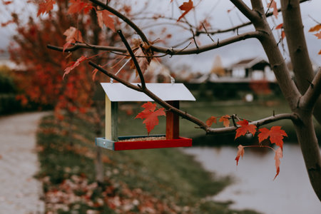 Autumn bird feeder with red maple leaves and a blurred background. A colorful bird feeder hangs from a tree branch, surrounded by vibrant red maple leaves, creating a beautiful autumn scene.の写真素材