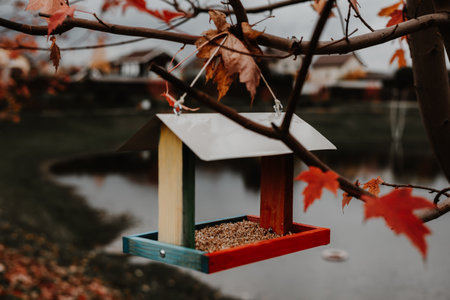 Autumn bird feeder with red maple leaves and a blurred background. A colorful bird feeder hangs from a tree branch, surrounded by vibrant red maple leaves, creating a beautiful autumn scene.の写真素材